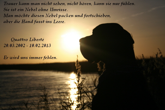 Trauer kann man nicht sehen, nicht hren, kann sie nur fhlen.
   Sie ist ein Nebel ohne Umrisse.
   Man mchte diesen Nebel packen und fortschieben,
   aber die Hand fasst ins Leere.


         Quattro Libert
   20.03.2002 - 10.02.2013

   Er wird uns immer fehlen.